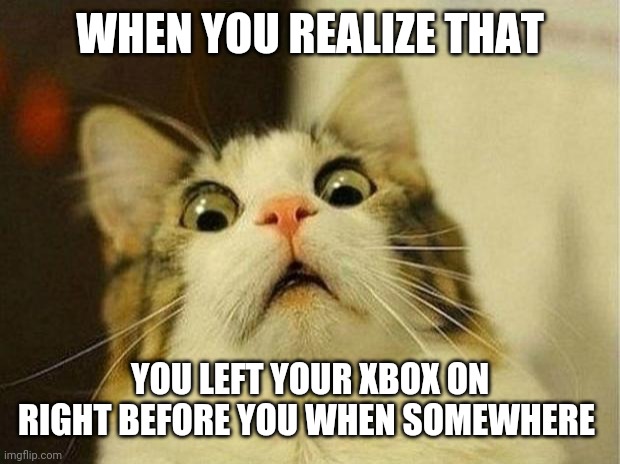 Scared Cat | WHEN YOU REALIZE THAT; YOU LEFT YOUR XBOX ON RIGHT BEFORE YOU WHEN SOMEWHERE | image tagged in memes,scared cat | made w/ Imgflip meme maker