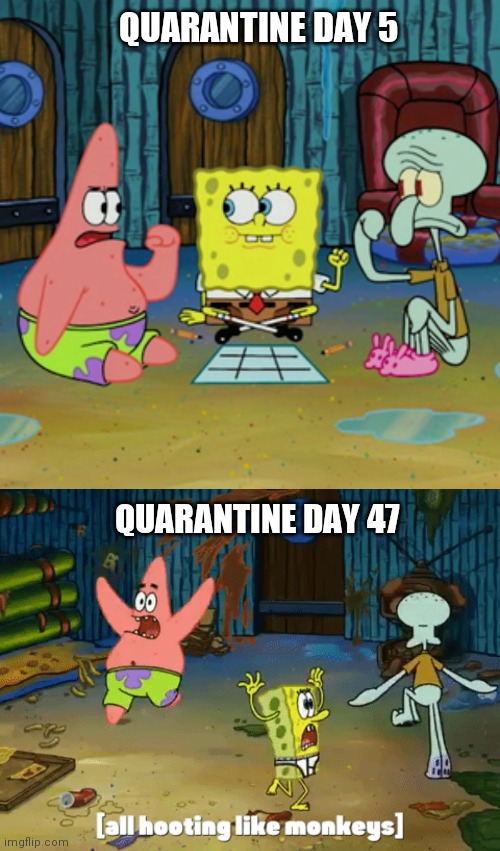 Quarantine Life |  QUARANTINE DAY 5; QUARANTINE DAY 47 | image tagged in quarantine,coronavirus,self quarantine,spongebob squarepants,squidward,patrick | made w/ Imgflip meme maker