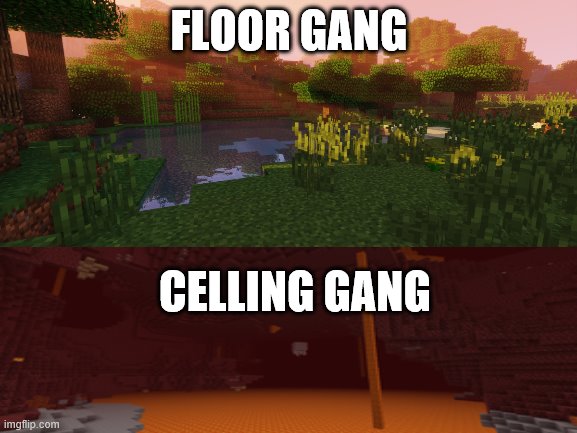 a pewdiepie meme | FLOOR GANG; CELLING GANG | image tagged in funny | made w/ Imgflip meme maker