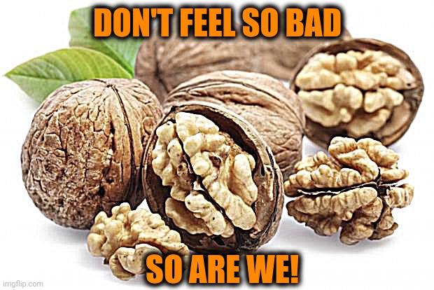 Walnuts | DON'T FEEL SO BAD SO ARE WE! | image tagged in walnuts | made w/ Imgflip meme maker