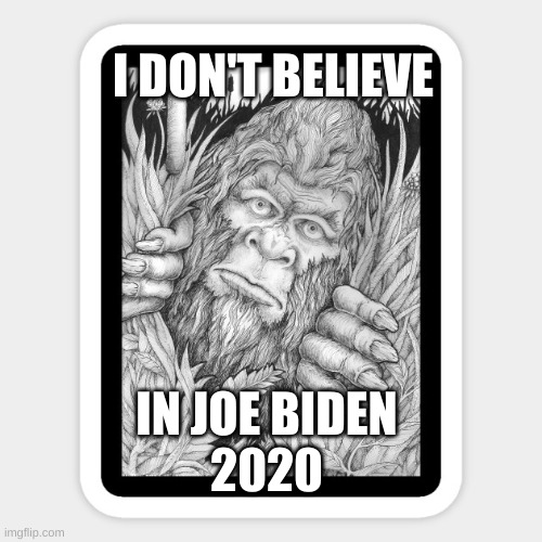 I don't believe in Joe Biden | I DON'T BELIEVE; IN JOE BIDEN
2020 | image tagged in sasquatch,joe biden,2020 | made w/ Imgflip meme maker