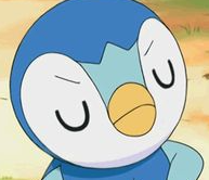 High Quality Sorry, but Piplup is My Starter Blank Meme Template