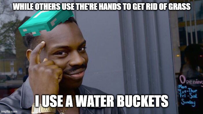 Roll safe think about it | WHILE OTHERS USE THE'RE HANDS TO GET RID OF GRASS; I USE A WATER BUCKETS | image tagged in memes,roll safe think about it | made w/ Imgflip meme maker