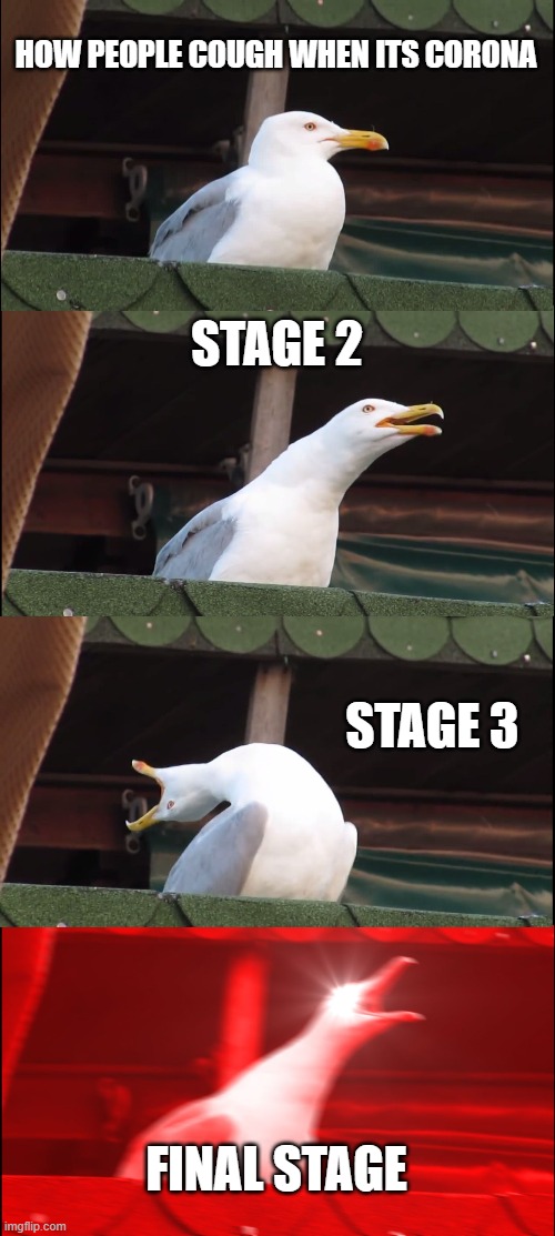 Inhaling Seagull | HOW PEOPLE COUGH WHEN ITS CORONA; STAGE 2; STAGE 3; FINAL STAGE | image tagged in memes,inhaling seagull | made w/ Imgflip meme maker