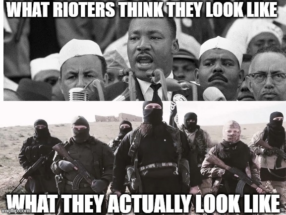 WHAT RIOTERS THINK THEY LOOK LIKE; WHAT THEY ACTUALLY LOOK LIKE | image tagged in blm | made w/ Imgflip meme maker