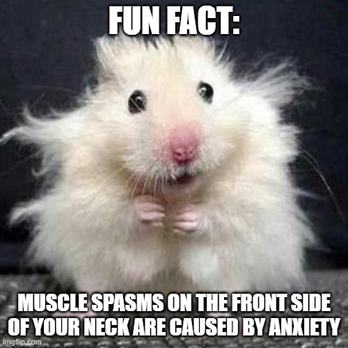anxiety | FUN FACT:; MUSCLE SPASMS ON THE FRONT SIDE OF YOUR NECK ARE CAUSED BY ANXIETY | image tagged in stressed mouse | made w/ Imgflip meme maker