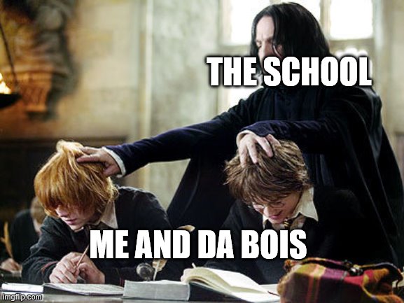 Snape separating harry and ron | THE SCHOOL; ME AND DA BOIS | image tagged in snape separating harry and ron | made w/ Imgflip meme maker