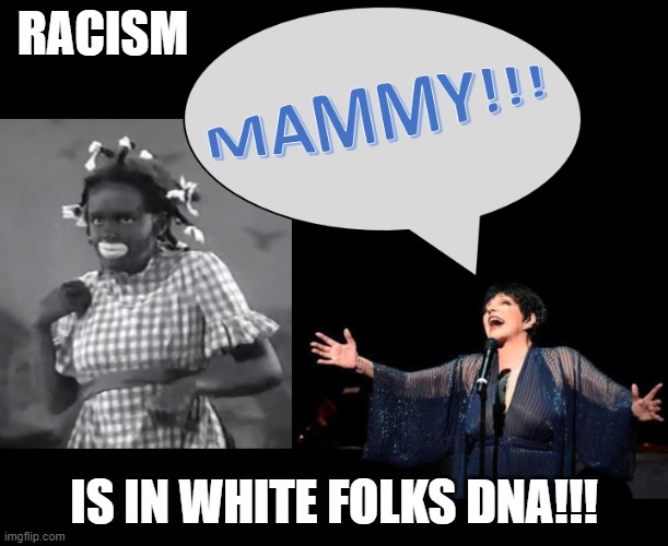 Mammy | RACISM; IS IN WHITE FOLKS DNA!!! | image tagged in racism,white,blackface | made w/ Imgflip meme maker
