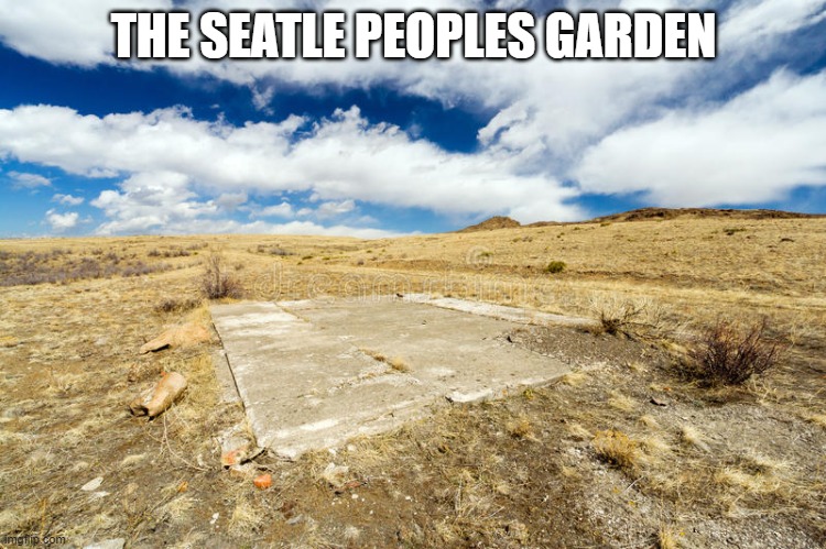 Barren Desolate Dry Dead | THE SEATLE PEOPLES GARDEN | image tagged in barren desolate dry dead | made w/ Imgflip meme maker