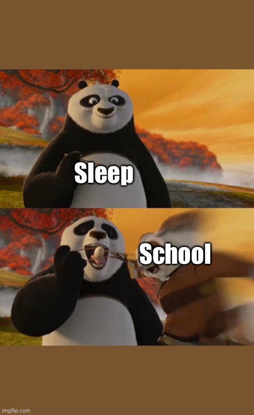 Conflicting mindsets | Sleep; School | image tagged in kung fu panda | made w/ Imgflip meme maker