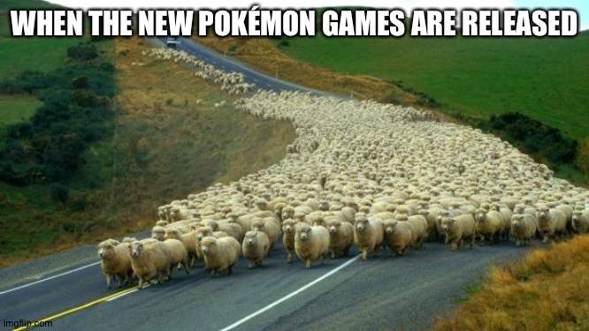 sheep | WHEN THE NEW POKÉMON GAMES ARE RELEASED | image tagged in sheep | made w/ Imgflip meme maker