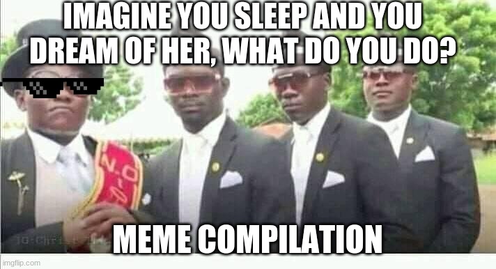 Imagine you sleep and you dream of her, what do you do? | IMAGINE YOU SLEEP AND YOU DREAM OF HER, WHAT DO YOU DO? MEME COMPILATION | image tagged in coffin dance | made w/ Imgflip meme maker