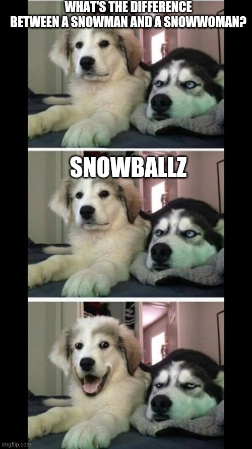 Two dogs bad joke | WHAT'S THE DIFFERENCE BETWEEN A SNOWMAN AND A SNOWWOMAN? SNOWBALLZ | image tagged in two dogs bad joke | made w/ Imgflip meme maker