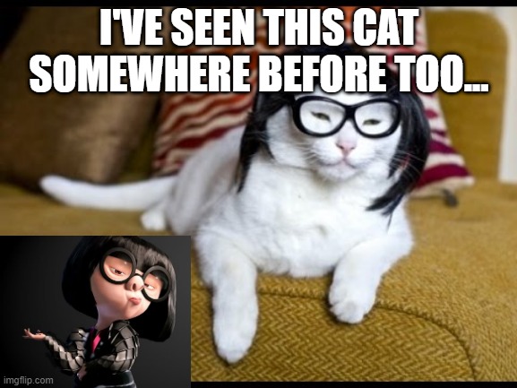 Edna Cat | I'VE SEEN THIS CAT SOMEWHERE BEFORE TOO... | image tagged in funny cat | made w/ Imgflip meme maker