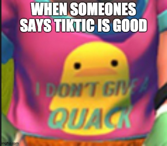 WHEN SOMEONES SAYS TIKTIC IS GOOD | image tagged in i dont give a quack | made w/ Imgflip meme maker
