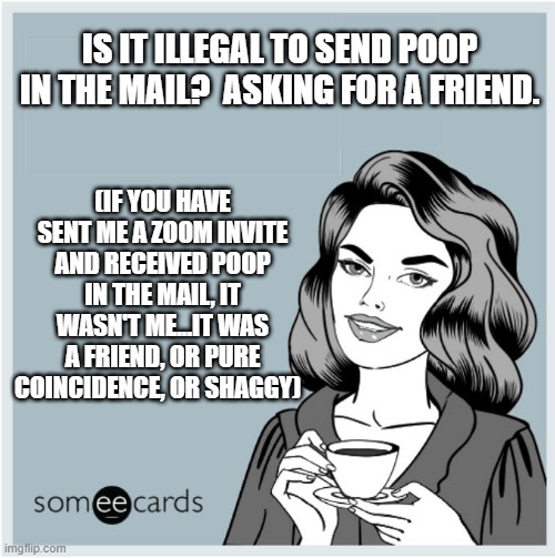 So Over Zoom | IS IT ILLEGAL TO SEND POOP IN THE MAIL?  ASKING FOR A FRIEND. (IF YOU HAVE SENT ME A ZOOM INVITE AND RECEIVED POOP IN THE MAIL, IT WASN'T ME...IT WAS A FRIEND, OR PURE COINCIDENCE, OR SHAGGY) | image tagged in memes,funny,office,work sucks,zoom | made w/ Imgflip meme maker