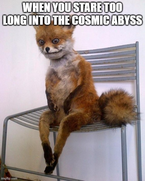stare into the abyss | WHEN YOU STARE TOO LONG INTO THE COSMIC ABYSS | image tagged in stoned fox | made w/ Imgflip meme maker