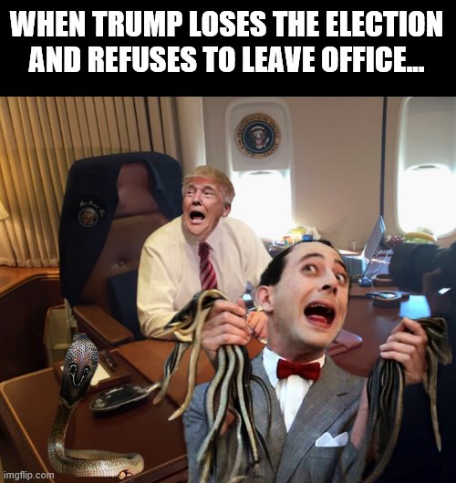 SNAKE ON A PLANE.... | WHEN TRUMP LOSES THE ELECTION AND REFUSES TO LEAVE OFFICE... | image tagged in snakes on a plane,trump is a moron,peewee herman,donald trump is an idiot | made w/ Imgflip meme maker
