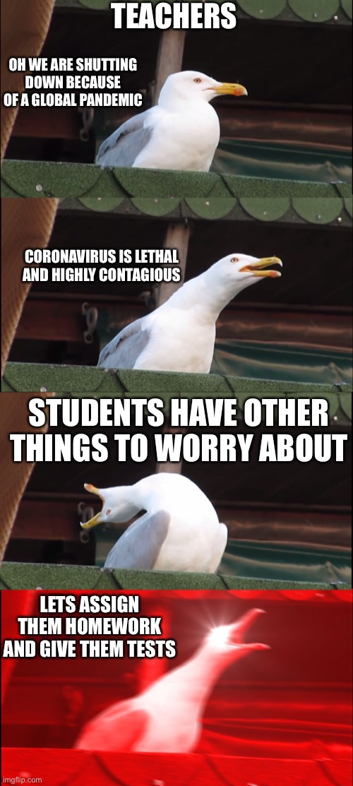 Teachers during the covid-19 pandemic | TEACHERS; OH WE ARE SHUTTING DOWN BECAUSE OF A GLOBAL PANDEMIC; CORONAVIRUS IS LETHAL AND HIGHLY CONTAGIOUS; STUDENTS HAVE OTHER THINGS TO WORRY ABOUT; LETS ASSIGN THEM HOMEWORK AND GIVE THEM TESTS | image tagged in memes,inhaling seagull | made w/ Imgflip meme maker