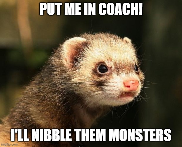 Frustrated Ferret | PUT ME IN COACH! I'LL NIBBLE THEM MONSTERS | image tagged in frustrated ferret | made w/ Imgflip meme maker