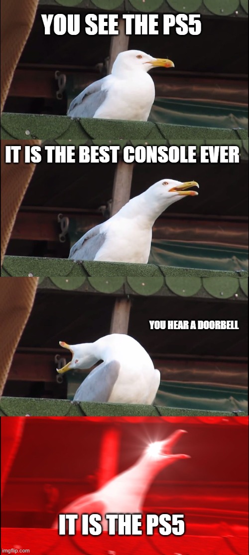 INHALING SEAGULL | YOU SEE THE PS5; IT IS THE BEST CONSOLE EVER; YOU HEAR A DOORBELL; IT IS THE PS5 | image tagged in memes,inhaling seagull,coronavirus,ps5,gaming | made w/ Imgflip meme maker