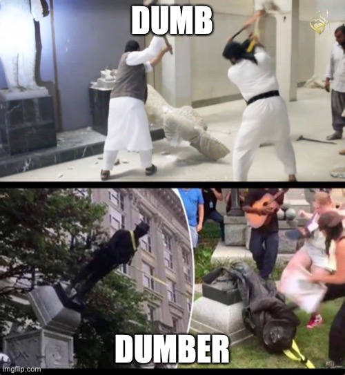 Dumb & Dumber | DUMB; DUMBER | image tagged in antifa,liberal hypocrisy,barbarians,dumbest,commos | made w/ Imgflip meme maker