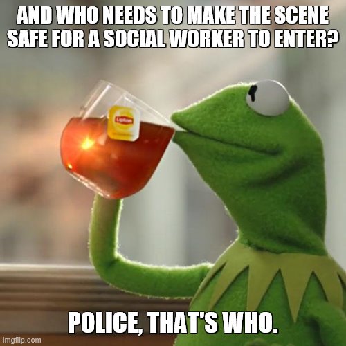 But That's None Of My Business Meme | AND WHO NEEDS TO MAKE THE SCENE SAFE FOR A SOCIAL WORKER TO ENTER? POLICE, THAT'S WHO. | image tagged in memes,but that's none of my business,kermit the frog | made w/ Imgflip meme maker