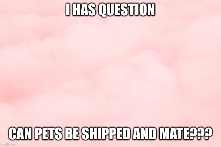 Can they? | I HAS QUESTION; CAN PETS BE SHIPPED AND MATE??? | image tagged in pink clouds,not a ship | made w/ Imgflip meme maker