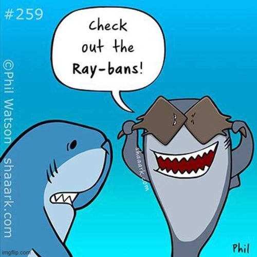 image tagged in memes,comics,comics/cartoons,sharks | made w/ Imgflip meme maker