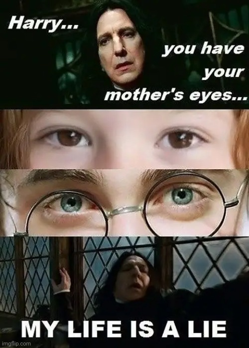 Harry Potter meme - Imgflip