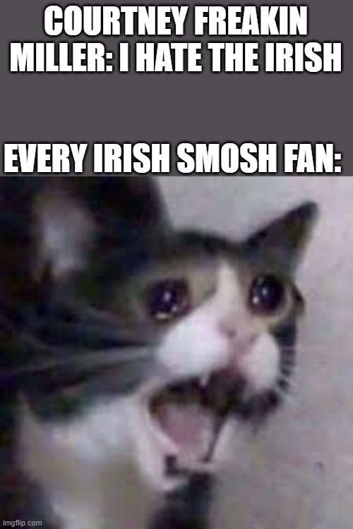 That hit home tho... | COURTNEY FREAKIN MILLER: I HATE THE IRISH; EVERY IRISH SMOSH FAN: | image tagged in smosh,irish | made w/ Imgflip meme maker