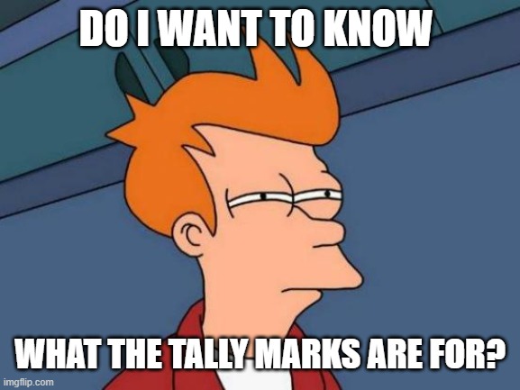Futurama Fry Meme | DO I WANT TO KNOW WHAT THE TALLY MARKS ARE FOR? | image tagged in memes,futurama fry | made w/ Imgflip meme maker