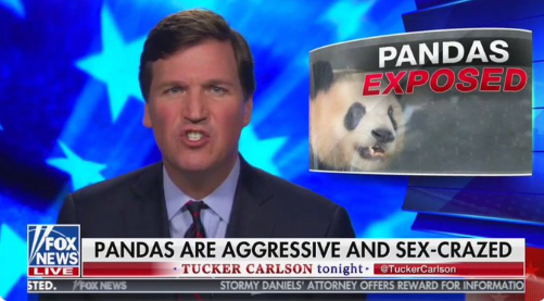 Hard Hitting Expose Tucker Carlson Blank Meme Template