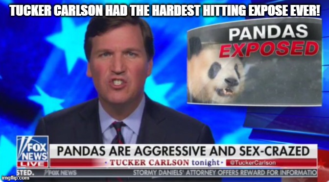 Hard Hitting Expose Tucker Carlson | TUCKER CARLSON HAD THE HARDEST HITTING EXPOSE EVER! | image tagged in hard hitting expose tucker carlson | made w/ Imgflip meme maker