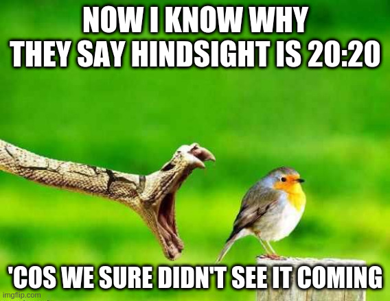 Never Saw It Coming | NOW I KNOW WHY
THEY SAY HINDSIGHT IS 20:20; 'COS WE SURE DIDN'T SEE IT COMING | image tagged in never saw it coming | made w/ Imgflip meme maker