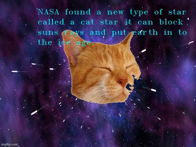 space cat | image tagged in cats | made w/ Imgflip meme maker