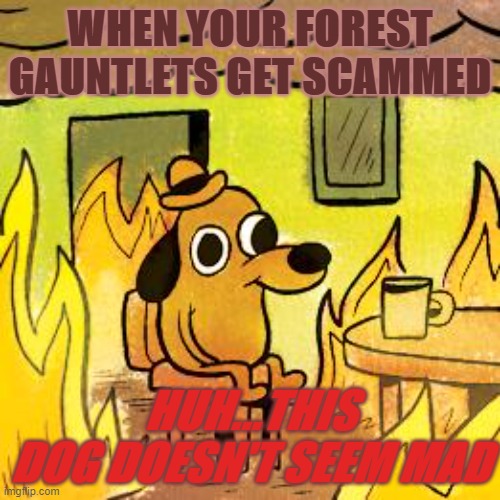 Dog in burning house | WHEN YOUR FOREST GAUNTLETS GET SCAMMED; HUH...THIS DOG DOESN'T SEEM MAD | image tagged in dog in burning house | made w/ Imgflip meme maker