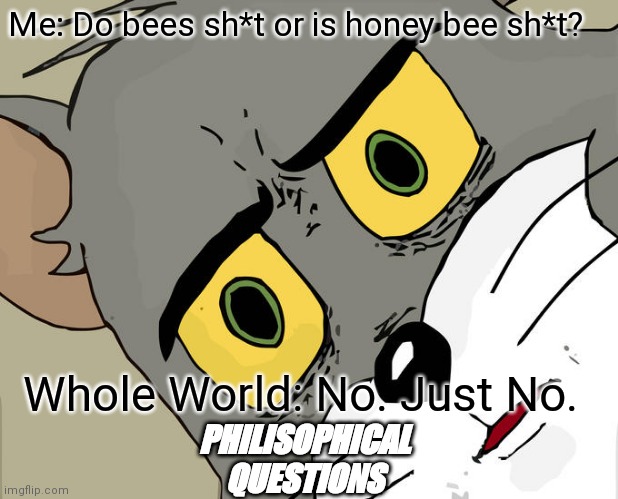 Unsettled Tom | Me: Do bees sh*t or is honey bee sh*t? Whole World: No. Just No. PHILISOPHICAL
QUESTIONS | image tagged in memes,unsettled tom | made w/ Imgflip meme maker