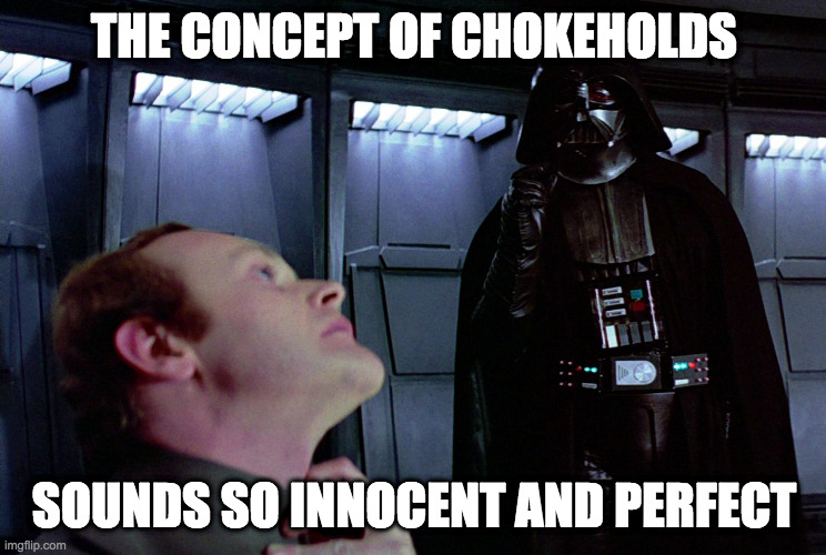 darth vader force choke | THE CONCEPT OF CHOKEHOLDS; SOUNDS SO INNOCENT AND PERFECT | image tagged in darth vader force choke | made w/ Imgflip meme maker