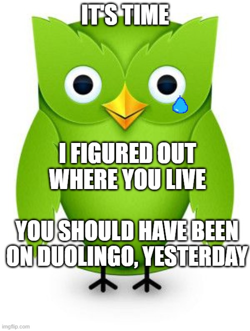 do a lingo | IT'S TIME; I FIGURED OUT WHERE YOU LIVE; YOU SHOULD HAVE BEEN ON DUOLINGO, YESTERDAY | image tagged in 2012 duolingo owl | made w/ Imgflip meme maker