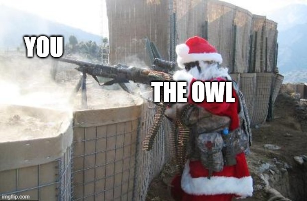 Hohoho Meme | THE OWL YOU | image tagged in memes,hohoho | made w/ Imgflip meme maker