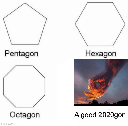 Pentagon Hexagon Octagon Meme | A good 2020gon | image tagged in memes,pentagon hexagon octagon | made w/ Imgflip meme maker