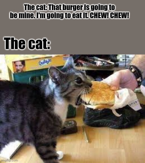 The cat and the burger | The cat: That burger is going to be mine. I'm going to eat it. CHEW! CHEW! The cat: | image tagged in cats,cat,burger,burgers,memes,meme | made w/ Imgflip meme maker
