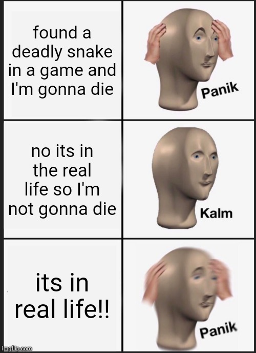 the snake is gonna kell me | found a deadly snake in a game and I'm gonna die; no its in the real life so I'm not gonna die; its in real life!! | image tagged in memes,panik kalm panik | made w/ Imgflip meme maker