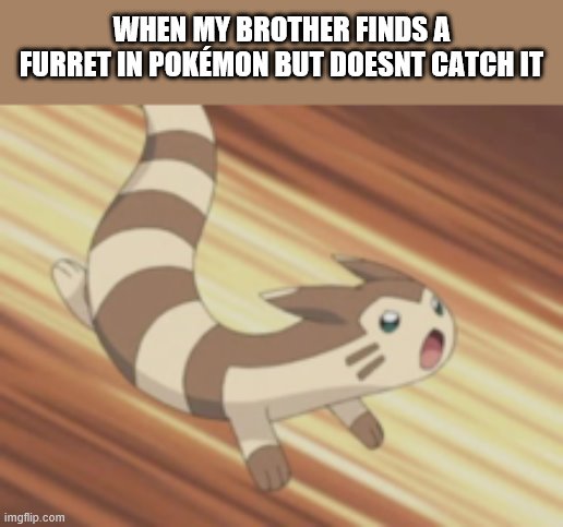 Angry Furret | WHEN MY BROTHER FINDS A FURRET IN POKÉMON BUT DOESNT CATCH IT | image tagged in angry furret | made w/ Imgflip meme maker