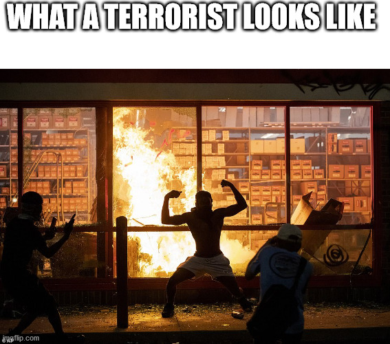 this is not about  an innocent man | WHAT A TERRORIST LOOKS LIKE | image tagged in looter autozone minneapolis,looters,political meme,terrorism | made w/ Imgflip meme maker