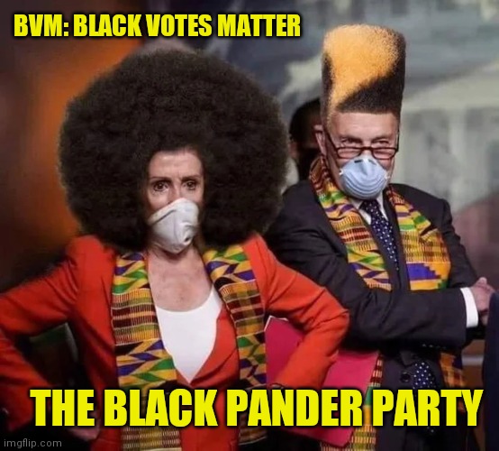 Democratic pandering | BVM: BLACK VOTES MATTER; THE BLACK PANDER PARTY | image tagged in democratic pandering | made w/ Imgflip meme maker