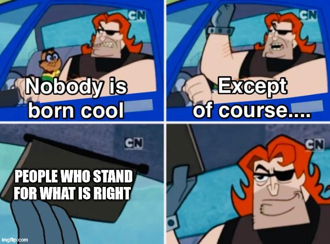 Nobody is born cool | PEOPLE WHO STAND FOR WHAT IS RIGHT | image tagged in nobody is born cool | made w/ Imgflip meme maker
