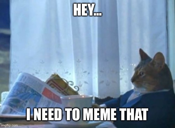 Memers be like | HEY... I NEED TO MEME THAT | image tagged in memes,i should buy a boat cat | made w/ Imgflip meme maker