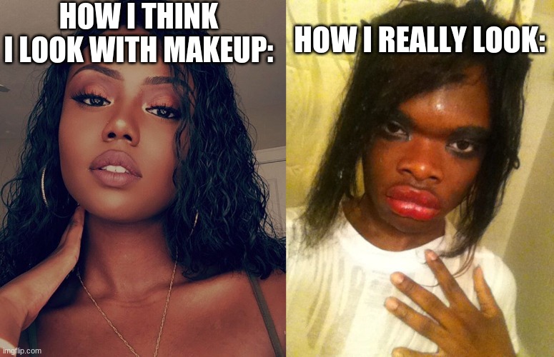 HOW I THINK I LOOK WITH MAKEUP:; HOW I REALLY LOOK: | image tagged in how i think i look | made w/ Imgflip meme maker